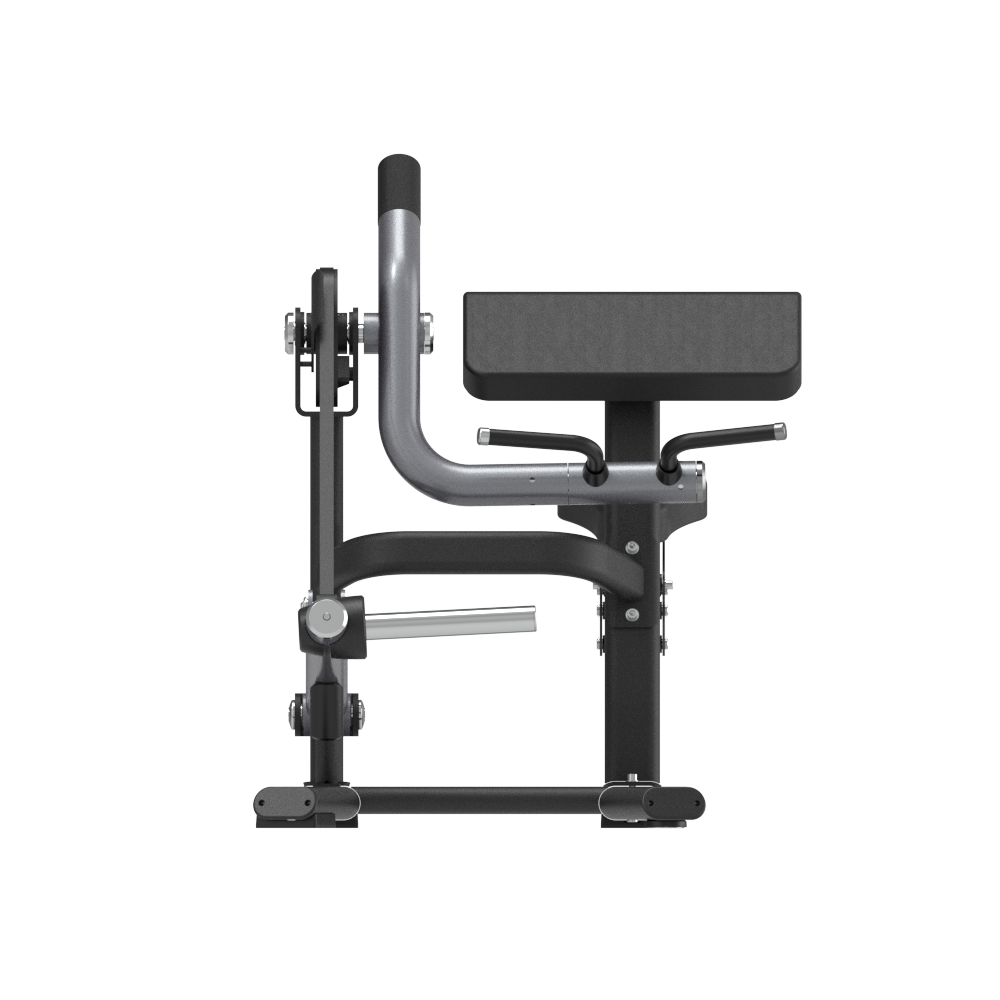 Insight Fitness Plated Loaded Bicep Curl