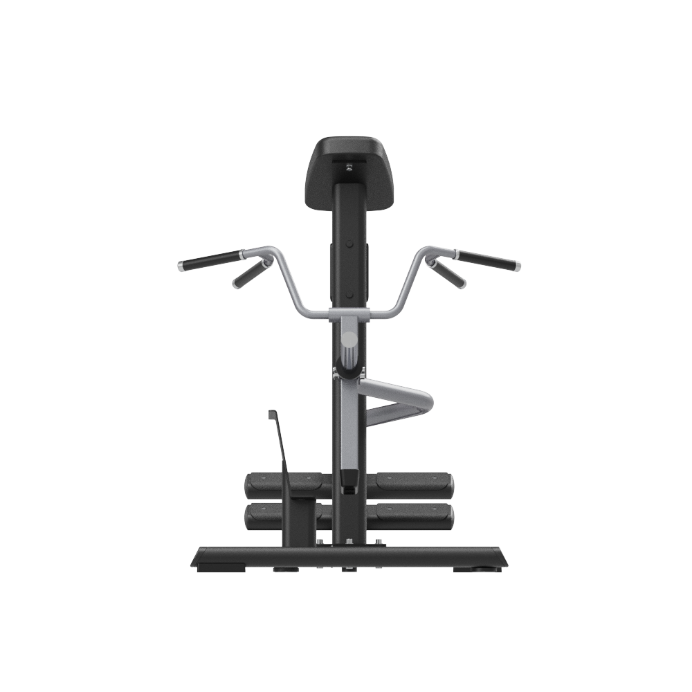 Insight Fitness T- Bar Row