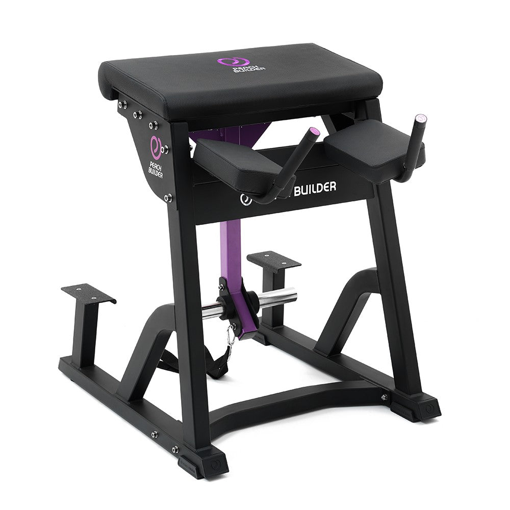 Insight Fitness Reverse Hyper PB407