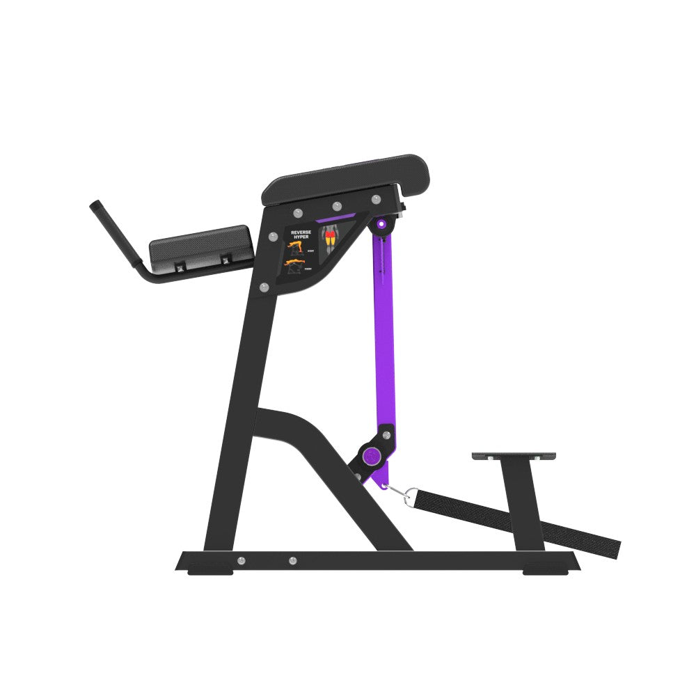 Insight Fitness Reverse Hyper PB407