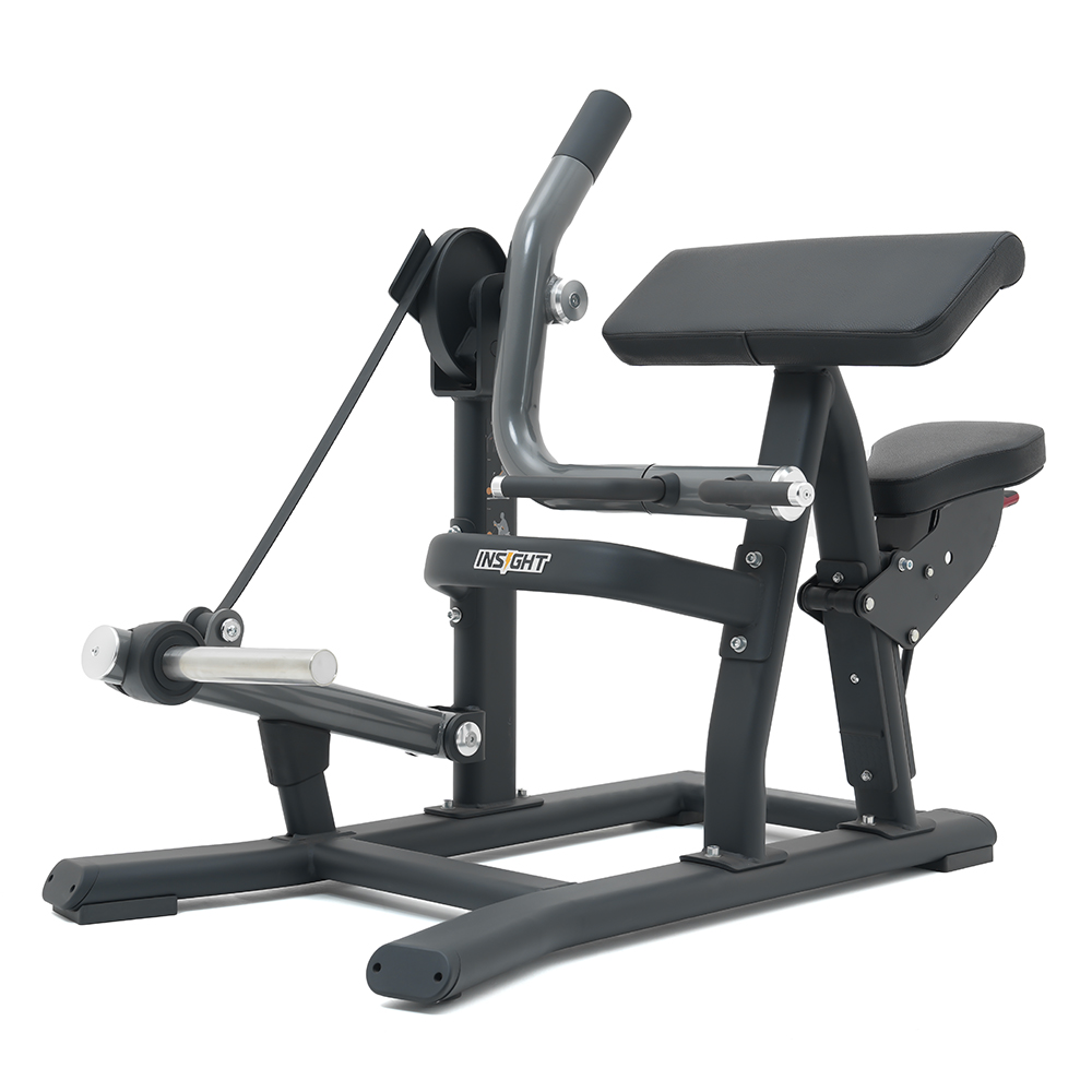 Insight Fitness Plated Loaded Bicep Curl