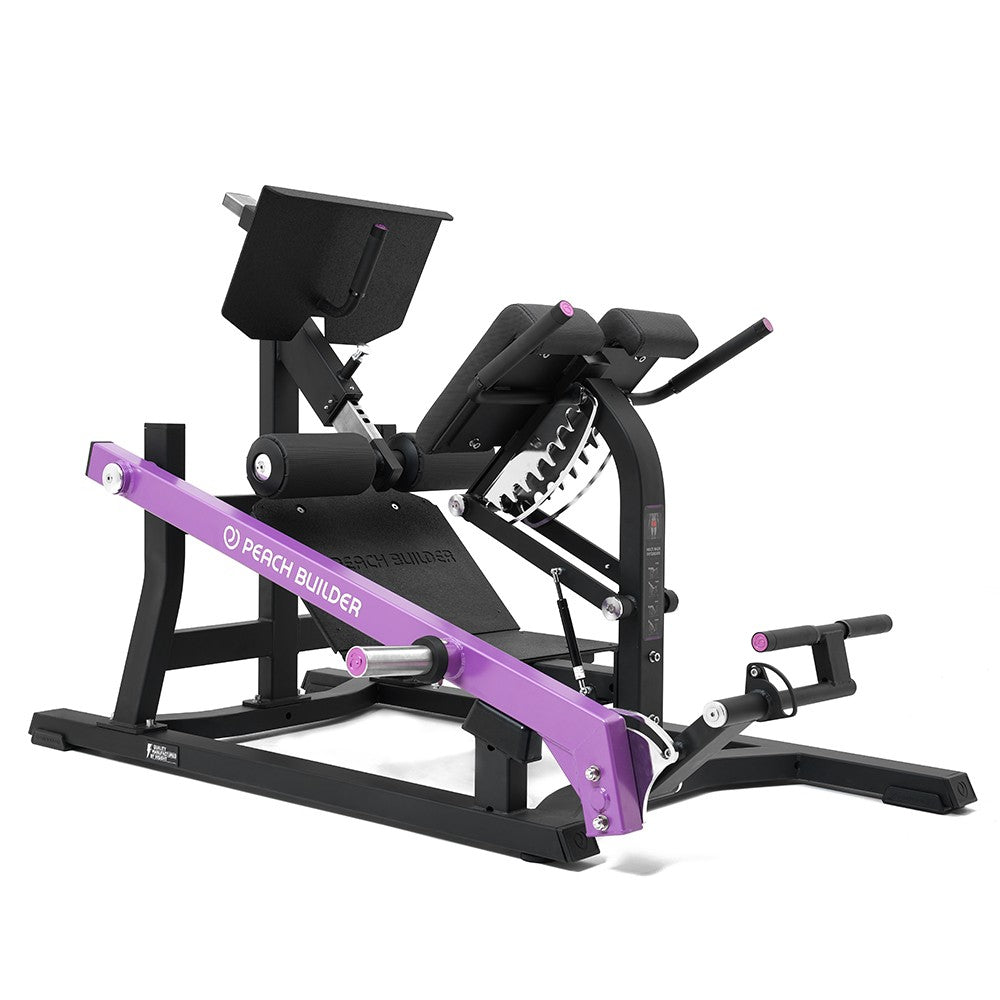 Insight Fitness Mutli Back Extension