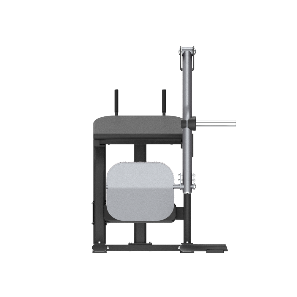 INSIGHT FITNESS Rear Kick SH007