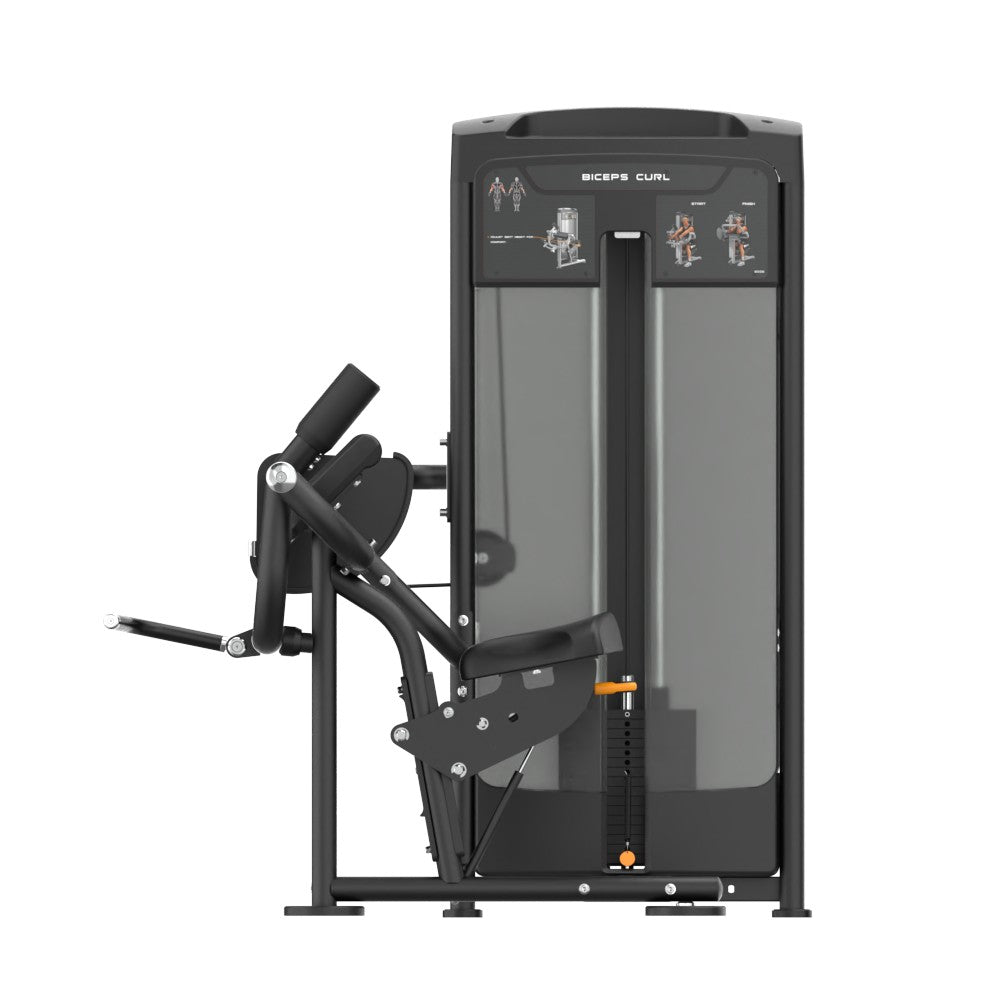 INSIGHT FITNESS BICEP CURL