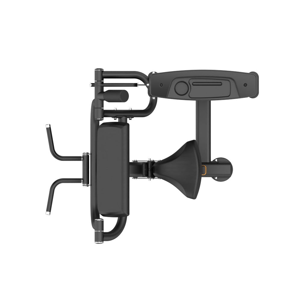 INSIGHT FITNESS BICEP CURL