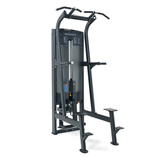 INSIGHT FITNESS ASSISTED  CHIN/DIP