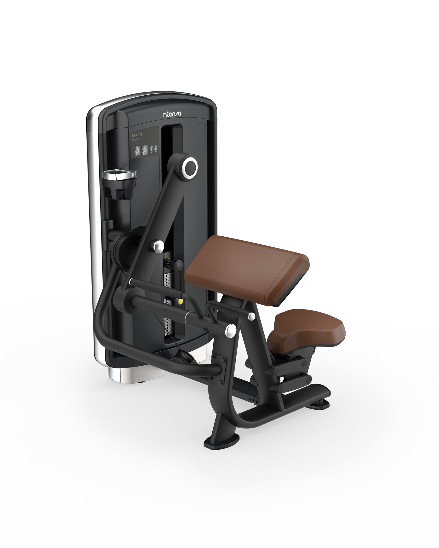 Intenza Fitness Dezign Line Bicep Curl