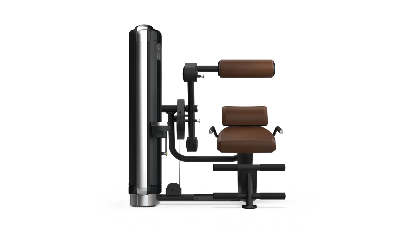 Intenza Fitness Dezign Line Back Extension