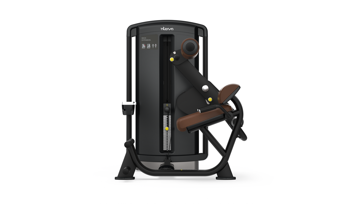 Intenza Fitness Dezign Line Back Extension