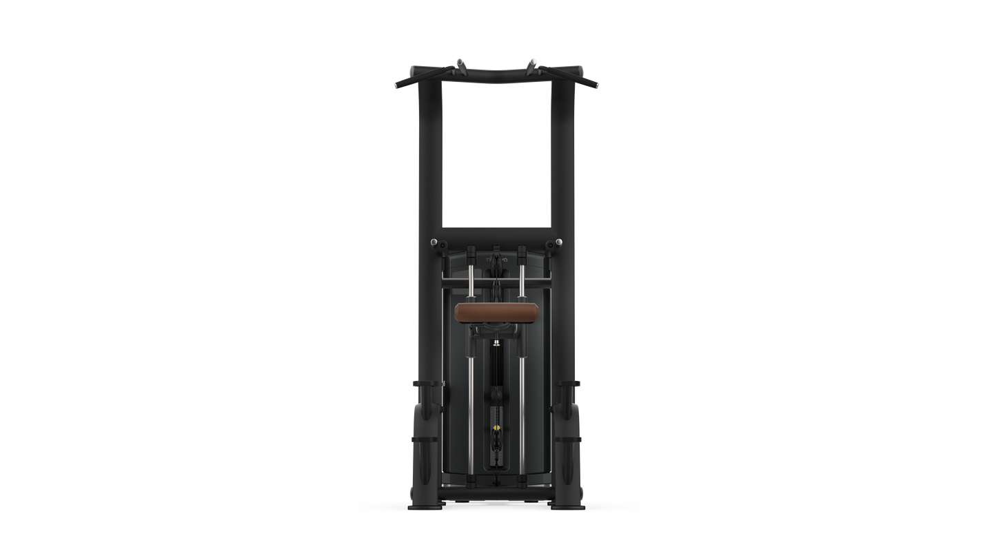 Intenza Fitness Dezign Line Assited Chin and Dip