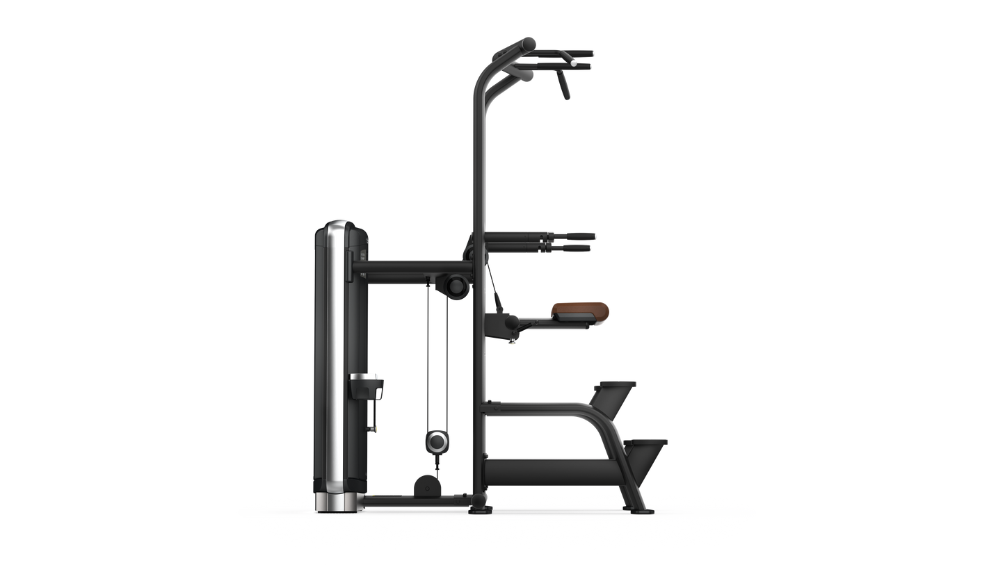 Intenza Fitness Dezign Line Assited Chin and Dip