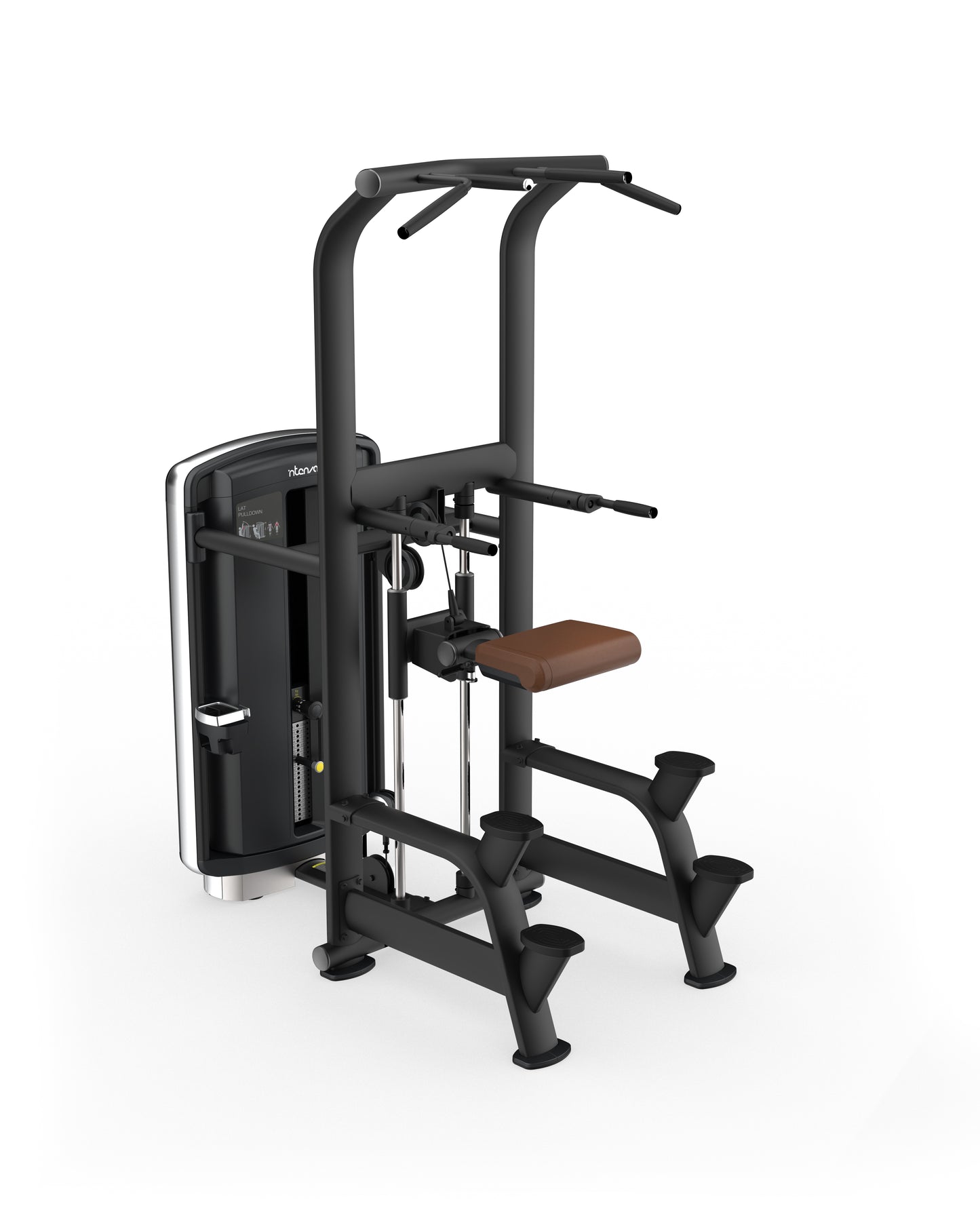 Intenza Fitness Dezign Line Assited Chin and Dip