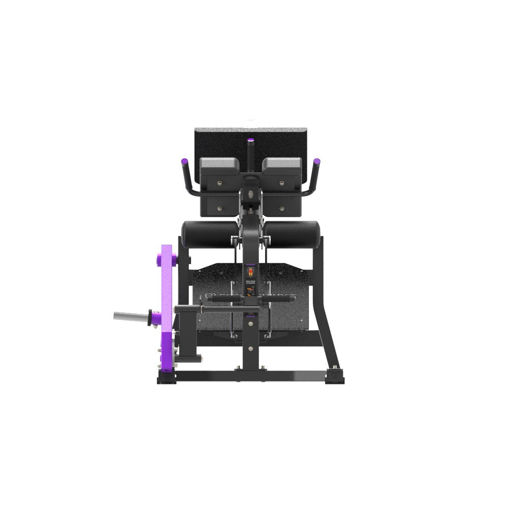 Insight Fitness Mutli Back Extension