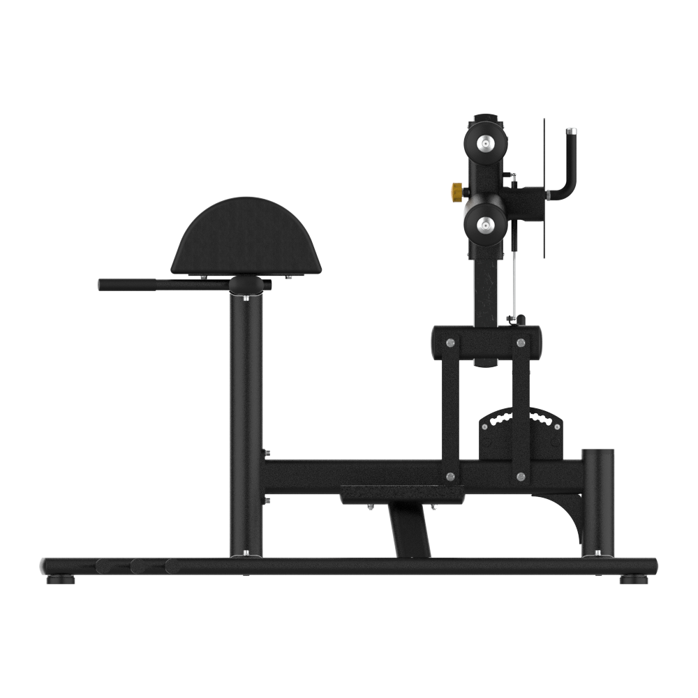 INSIGHT FITNESS GHD Glute Ham developer RE6032 - Devine Fitness Equipment