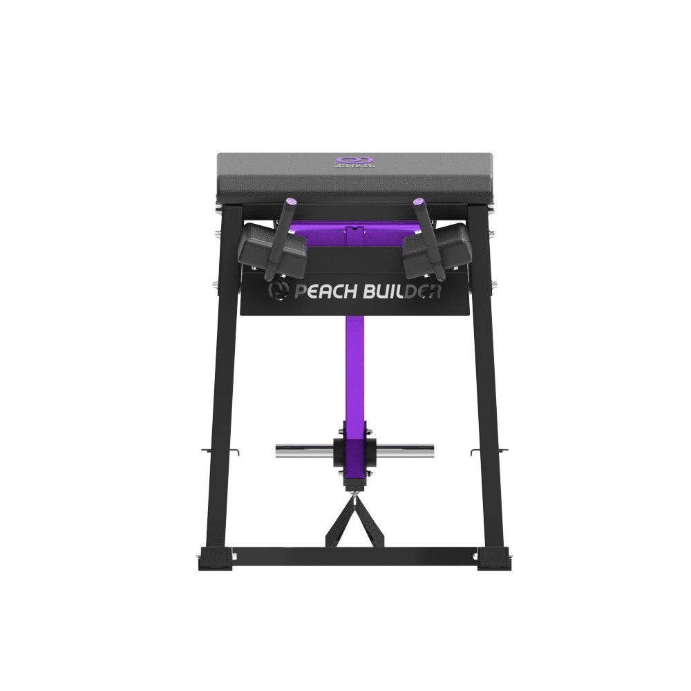 Insight Fitness Reverse Hyper PB407