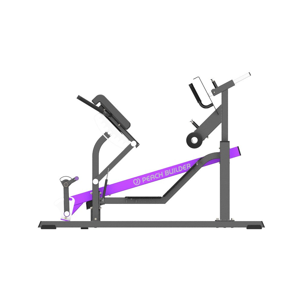 Insight Fitness Mutli Back Extension