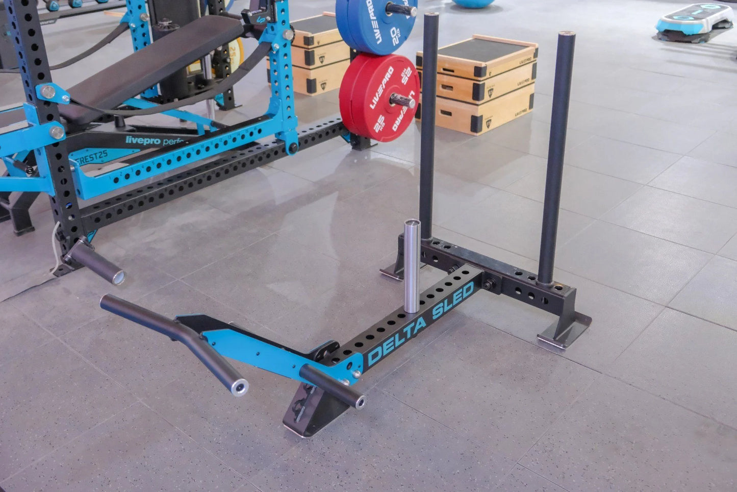 Live Pro Sled