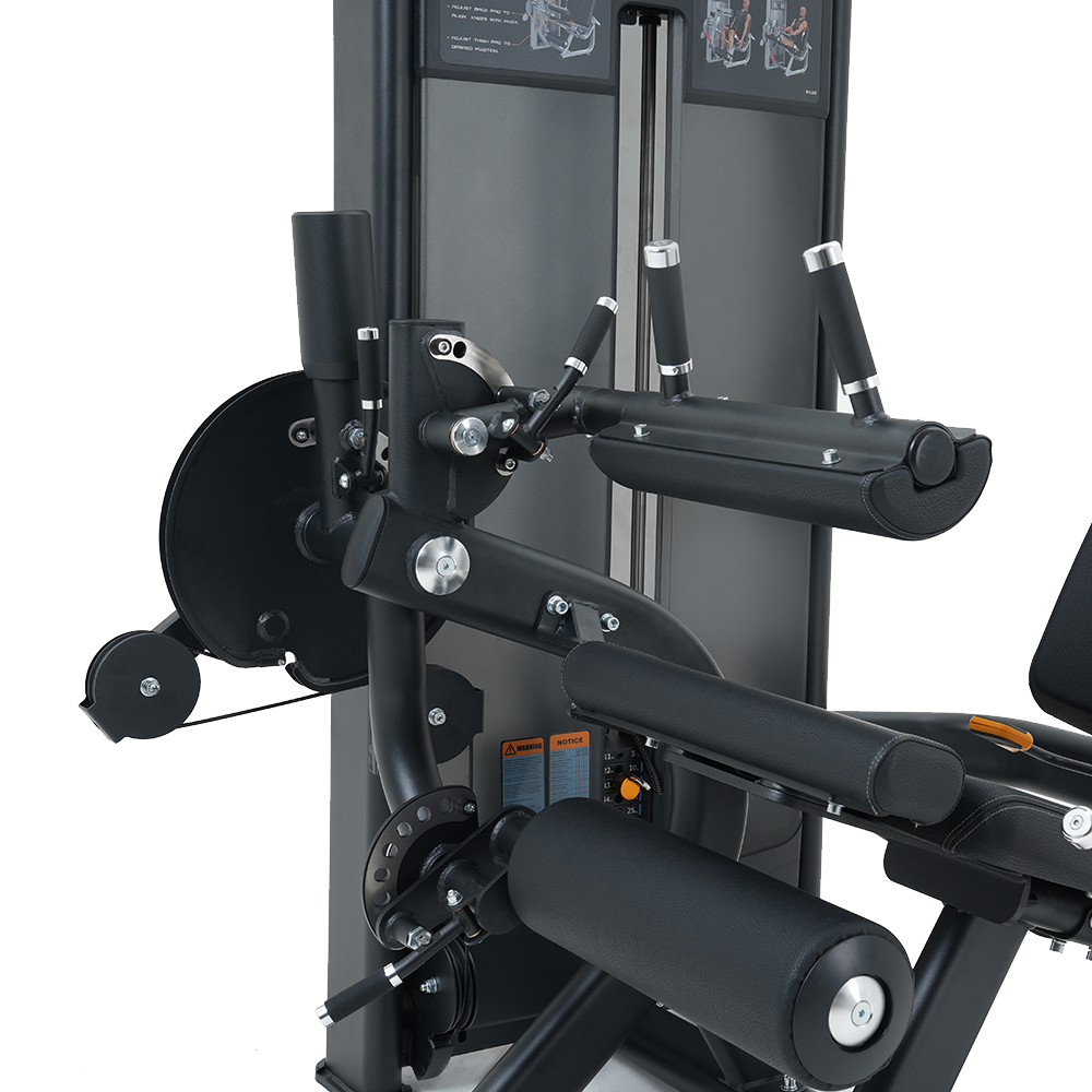 INSIGHT FITNESS LEG CURL/EXTENSION