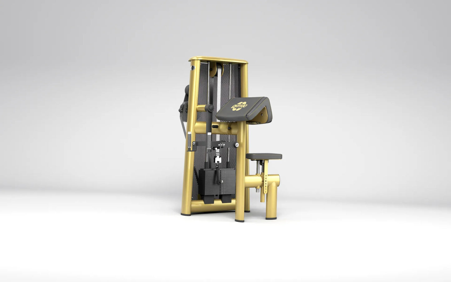 GYM80 3010 Biceps Machine
