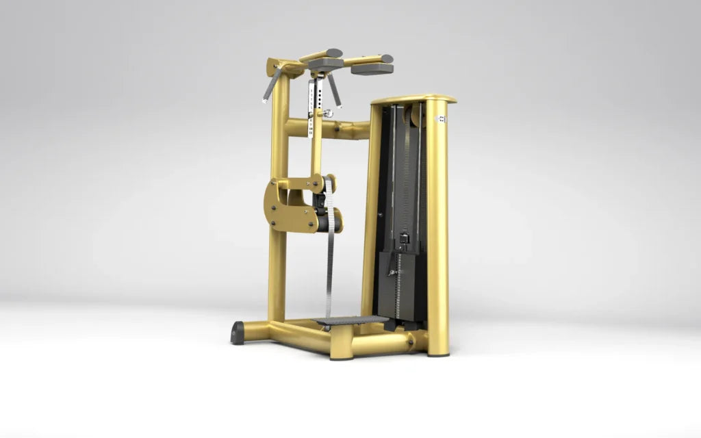 GYM80 3018 Standing Calf Raise Machine
