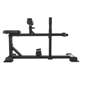 BODYTONE Seated Calf Raise  FBC05 - Devine Fitness Equipment