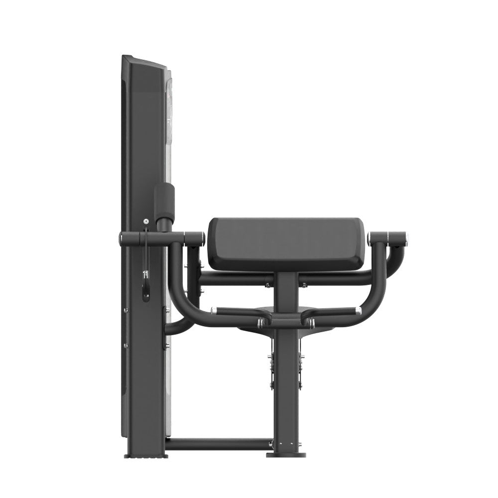 INSIGHT FITNESS BICEP CURL