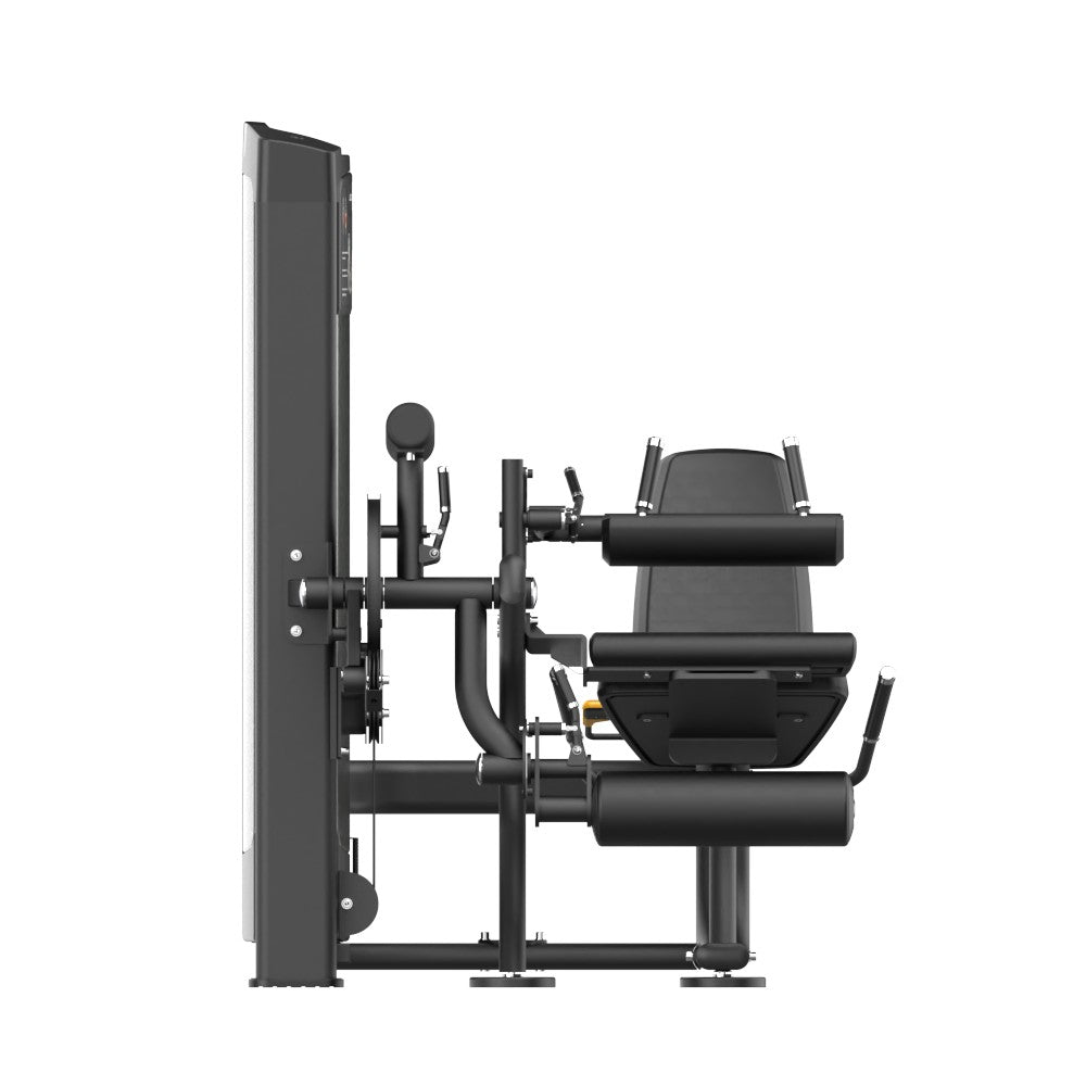 INSIGHT FITNESS LEG CURL/EXTENSION