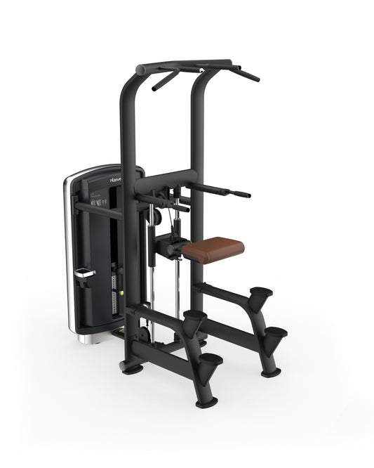 Intenza Fitness Dezign Line Assited Chin and Dip