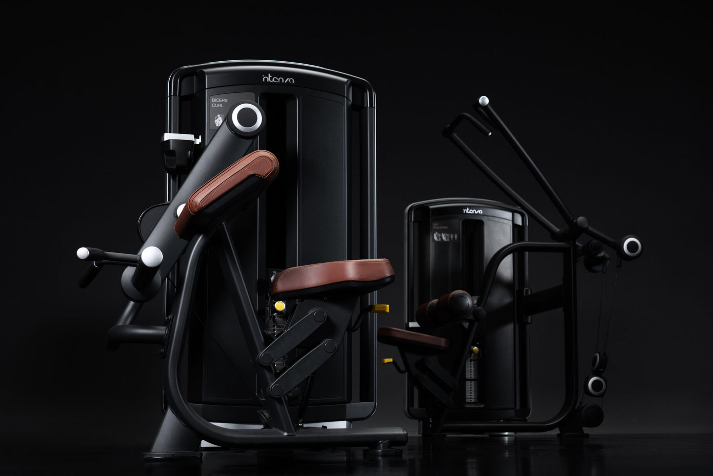 Intenza Fitness Dezign Line Bicep Curl
