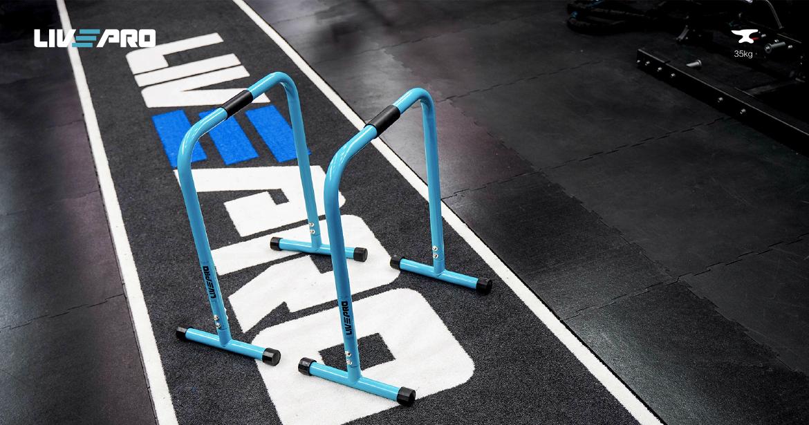 Live Pro Parallettes  Dip Bars pair LP8161 - Devine Fitness Equipment