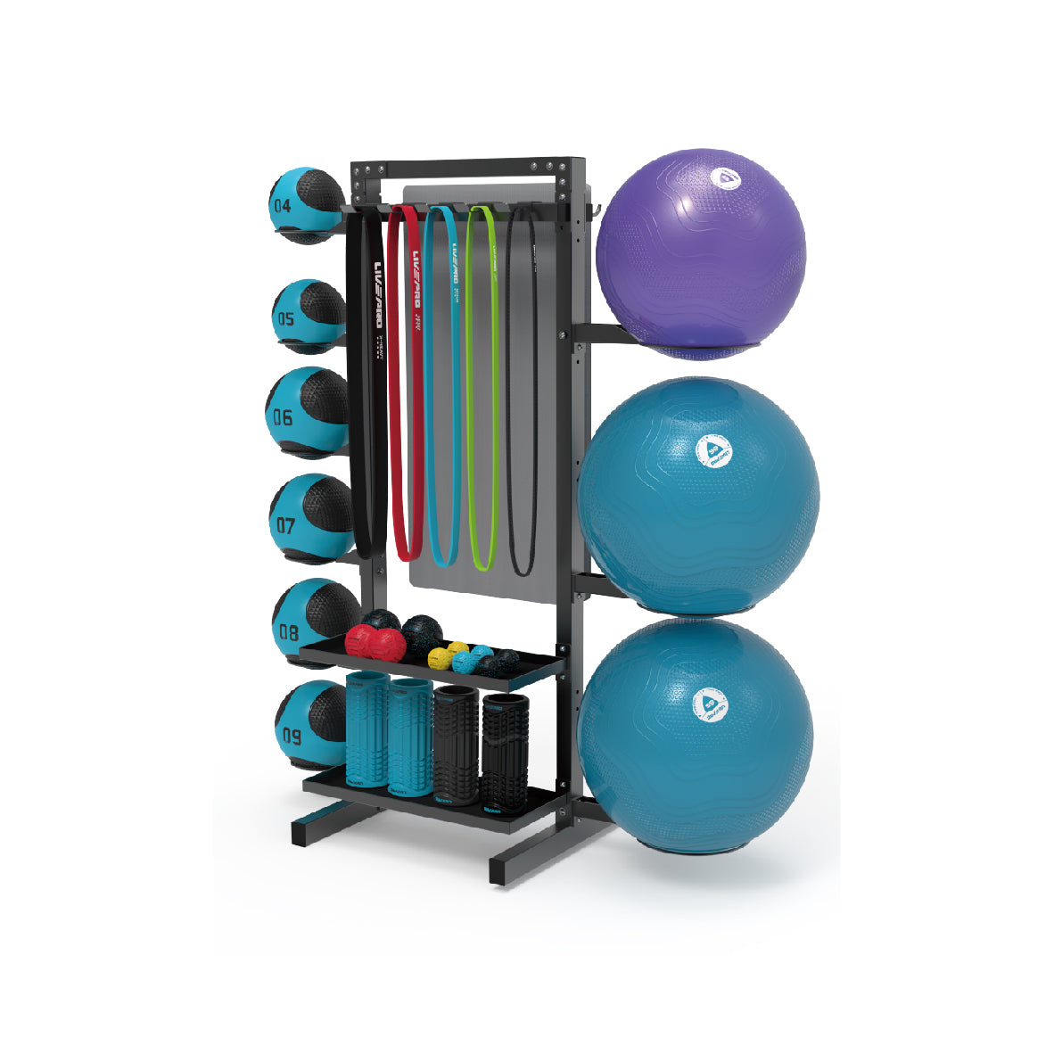 LIVE PRO Storage Rack - Devine Fitness Equipment