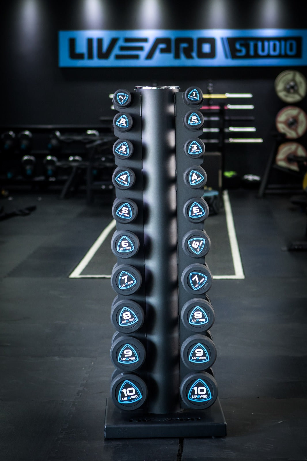 Studio Urethane  Dumbbell 1-10kg 10 pairs with Tower - Devine Fitness Equipment