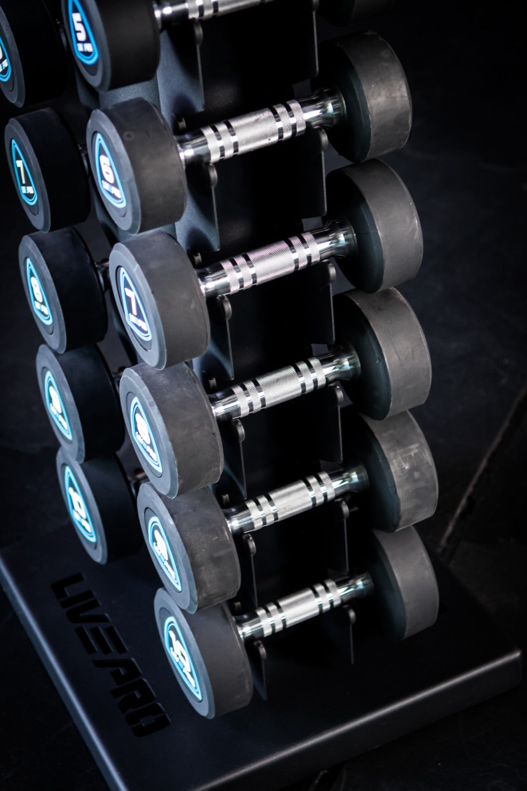 Studio Urethane  Dumbbell 1-10kg 10 pairs with Tower - Devine Fitness Equipment