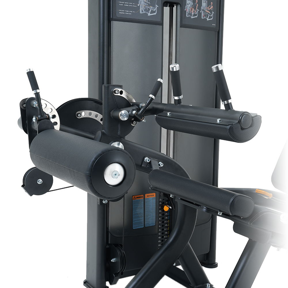 INSIGHT FITNESS LEG CURL/EXTENSION