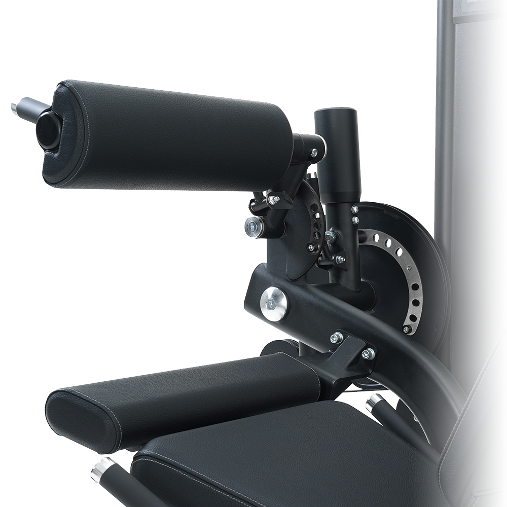 INSIGHT FITNESS LEG CURL/EXTENSION