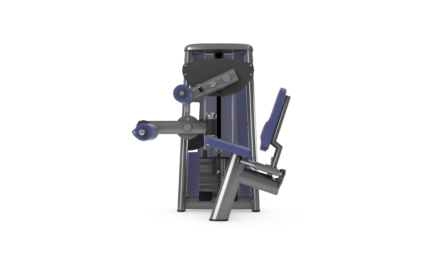 Gym80 Seated Leg Curl 3003