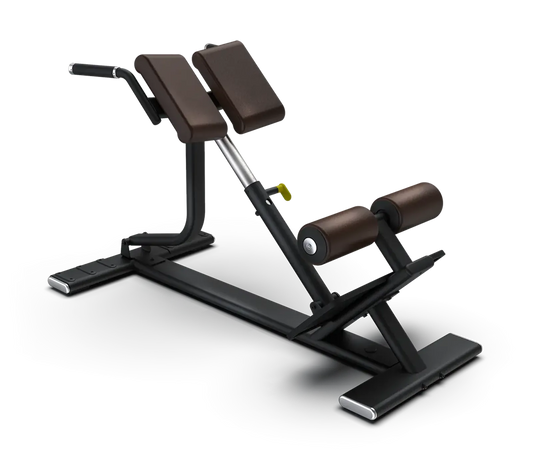Intenza Back Extension Bench SBR-04