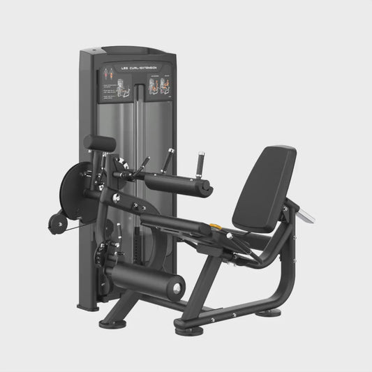 INSIGHT FITNESS LEG CURL/EXTENSION
