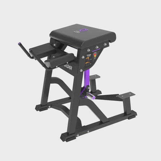 Insight Fitness Reverse Hyper PB407