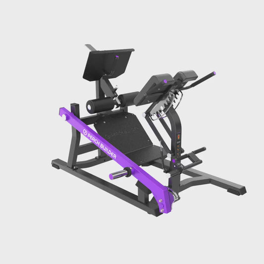 Insight Fitness Mutli Back Extension