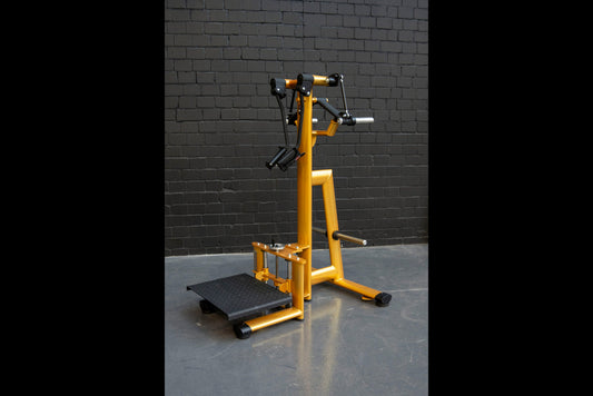 GYM80 Pure Kraft Standing Shoulder Lateral Raise 4385