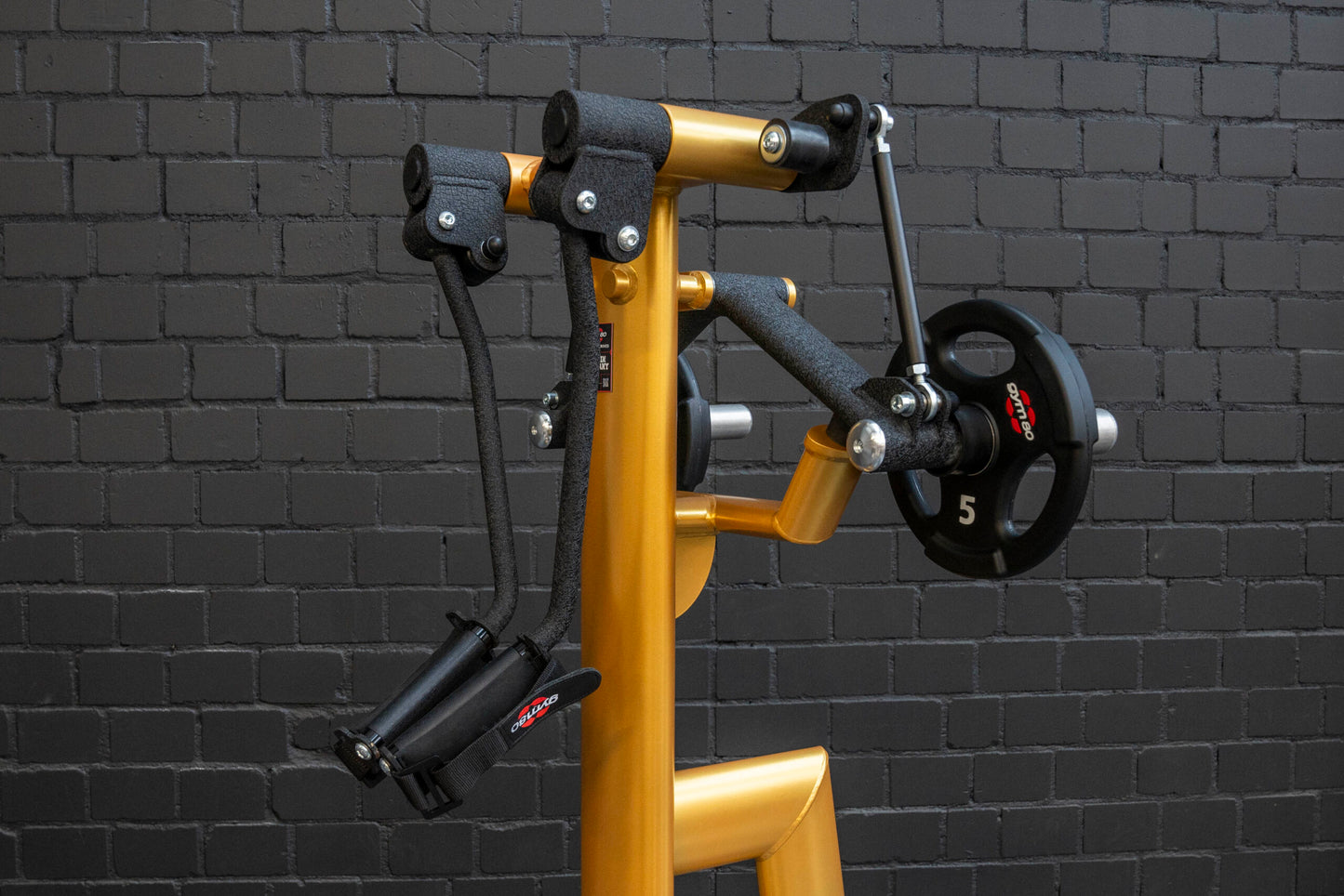 GYM80 Pure Kraft Standing Shoulder Lateral Raise 4385